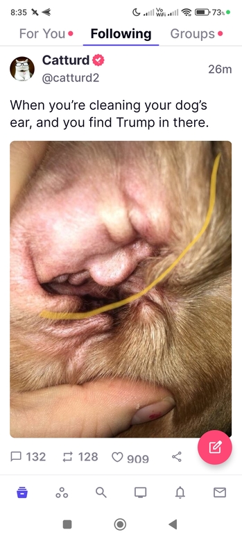 https://lemis.nyc3.digitaloceanspaces.com/grog/Photos/20240902/small/Trump-face.jpeg