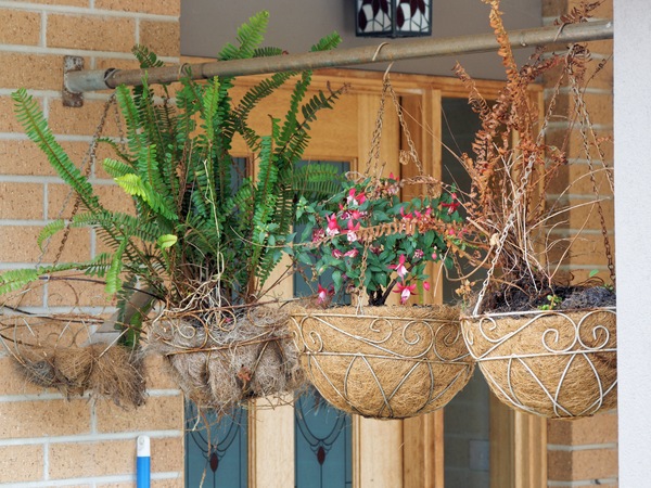 https://lemis.nyc3.digitaloceanspaces.com/grog/Photos/20250320/small/Front-garden-2.jpeg