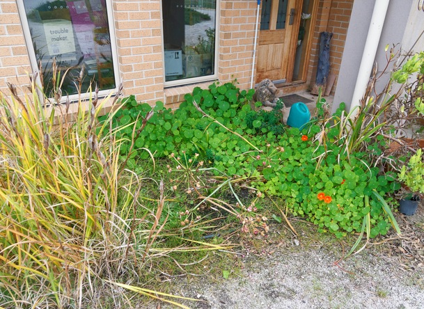 https://lemis.nyc3.digitaloceanspaces.com/grog/Photos/20250522/small/East-garden-1.jpeg