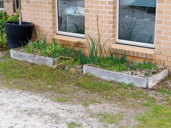 https://lemis.nyc3.digitaloceanspaces.com/grog/Photos/20250522/small/East-garden-2.jpeg