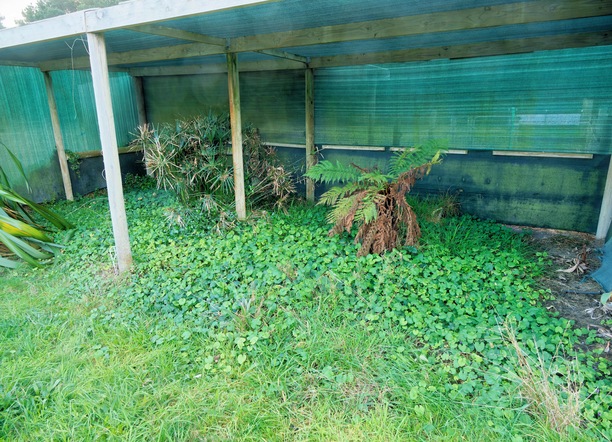 https://lemis.nyc3.digitaloceanspaces.com/grog/Photos/20250522/small/Shade-area.jpeg
