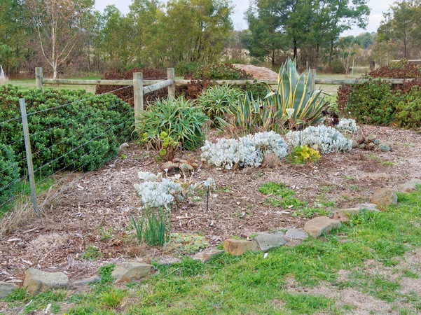 https://lemis.nyc3.digitaloceanspaces.com/grog/Photos/20250522/small/Succulent-garden-1.jpeg