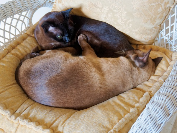 https://lemis.nyc3.digitaloceanspaces.com/grog/Photos/20250524/small/Mona-Bruno-10.jpeg