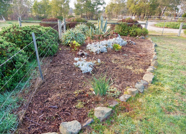 https://lemis.nyc3.digitaloceanspaces.com/grog/Photos/20250621/small/Succulent-garden.jpeg