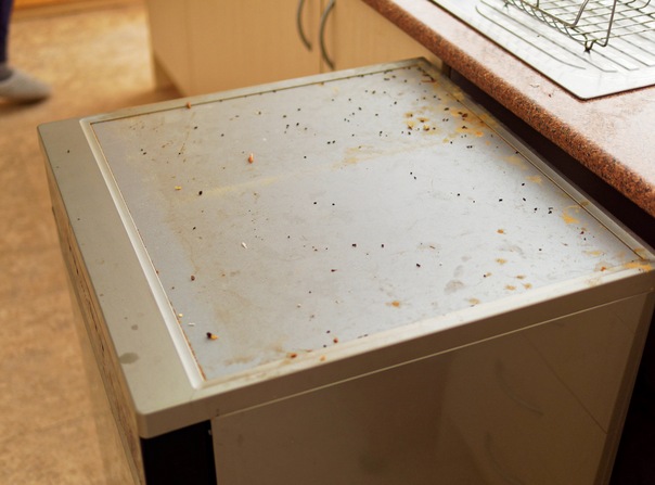 https://lemis.nyc3.digitaloceanspaces.com/grog/Photos/20250630/small/Dishwasher-1.jpeg