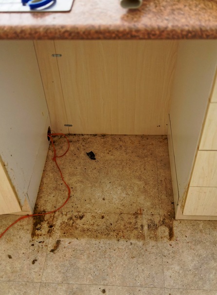 https://lemis.nyc3.digitaloceanspaces.com/grog/Photos/20250630/small/Dishwasher-6.jpeg