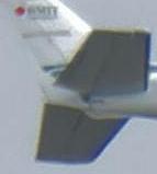 https://lemis.nyc3.digitaloceanspaces.com/grog/Photos/20250703/big/Birding-meeting-364-detail-2.jpeg