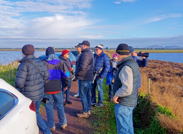 https://lemis.nyc3.digitaloceanspaces.com/grog/Photos/20250703/small/Birding-meeting-164.jpeg