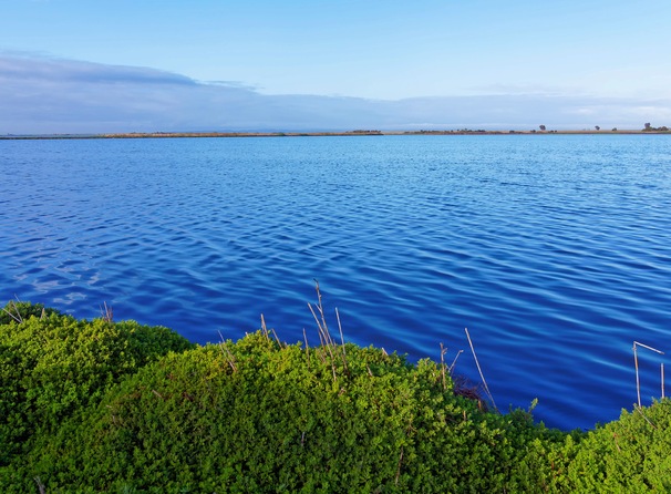 https://lemis.nyc3.digitaloceanspaces.com/grog/Photos/20250703/small/Birding-meeting-169.jpeg
