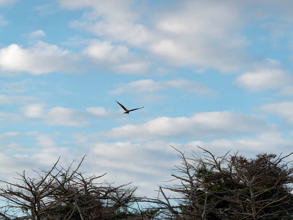https://lemis.nyc3.digitaloceanspaces.com/grog/Photos/20250703/small/Birding-meeting-17.jpeg