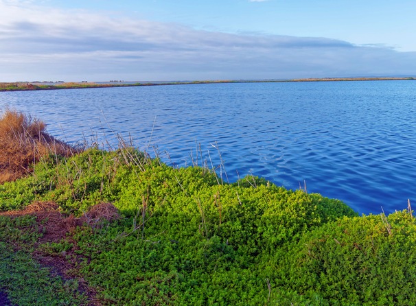 https://lemis.nyc3.digitaloceanspaces.com/grog/Photos/20250703/small/Birding-meeting-171.jpeg