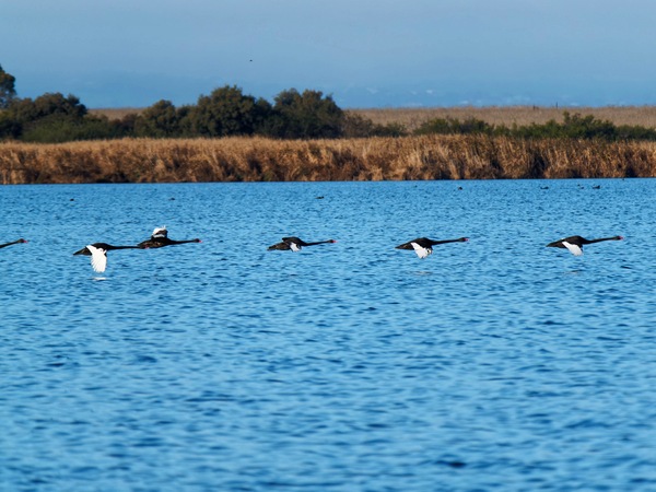 https://lemis.nyc3.digitaloceanspaces.com/grog/Photos/20250703/small/Birding-meeting-191.jpeg