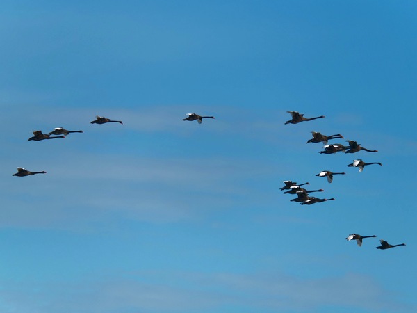 https://lemis.nyc3.digitaloceanspaces.com/grog/Photos/20250703/small/Birding-meeting-193.jpeg