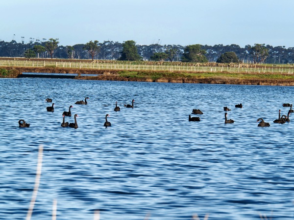 https://lemis.nyc3.digitaloceanspaces.com/grog/Photos/20250703/small/Birding-meeting-219.jpeg