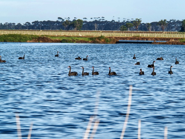 https://lemis.nyc3.digitaloceanspaces.com/grog/Photos/20250703/small/Birding-meeting-220.jpeg