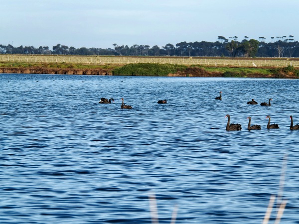 https://lemis.nyc3.digitaloceanspaces.com/grog/Photos/20250703/small/Birding-meeting-221.jpeg