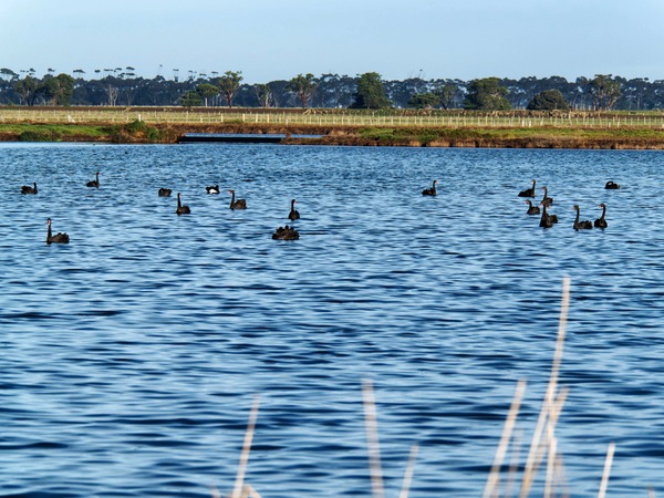 https://lemis.nyc3.digitaloceanspaces.com/grog/Photos/20250703/small/Birding-meeting-222.jpeg