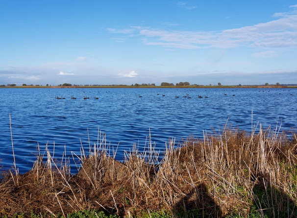 https://lemis.nyc3.digitaloceanspaces.com/grog/Photos/20250703/small/Birding-meeting-223.jpeg