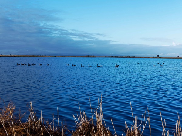 https://lemis.nyc3.digitaloceanspaces.com/grog/Photos/20250703/small/Birding-meeting-227.jpeg