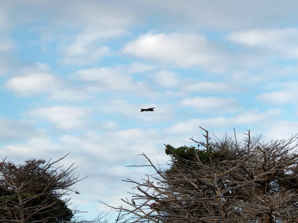 https://lemis.nyc3.digitaloceanspaces.com/grog/Photos/20250703/small/Birding-meeting-23.jpeg