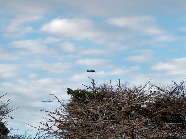 https://lemis.nyc3.digitaloceanspaces.com/grog/Photos/20250703/small/Birding-meeting-24.jpeg