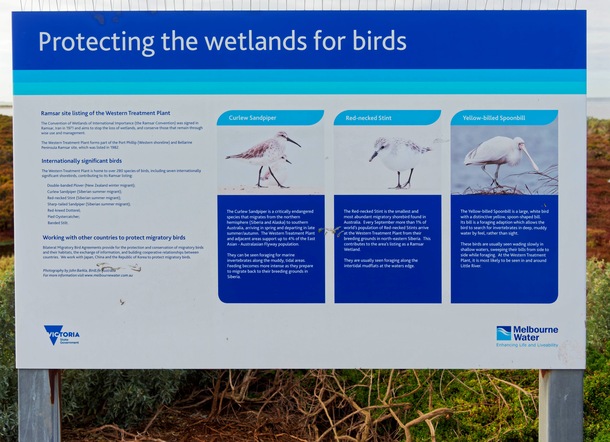 https://lemis.nyc3.digitaloceanspaces.com/grog/Photos/20250703/small/Birding-meeting-268.jpeg