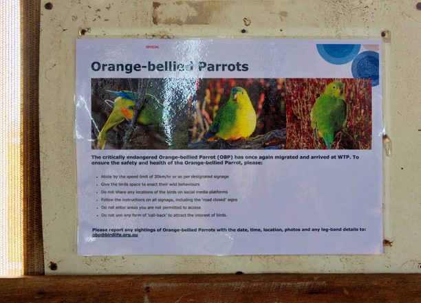 https://lemis.nyc3.digitaloceanspaces.com/grog/Photos/20250703/small/Birding-meeting-279.jpeg