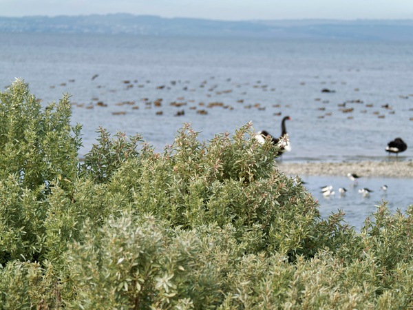 https://lemis.nyc3.digitaloceanspaces.com/grog/Photos/20250703/small/Birding-meeting-308.jpeg