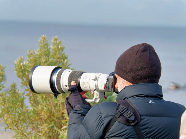 https://lemis.nyc3.digitaloceanspaces.com/grog/Photos/20250703/small/Birding-meeting-322.jpeg