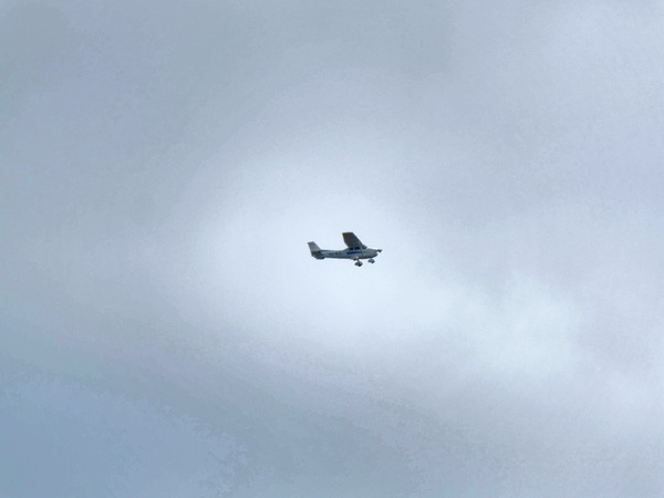 https://lemis.nyc3.digitaloceanspaces.com/grog/Photos/20250703/small/Birding-meeting-363.jpeg