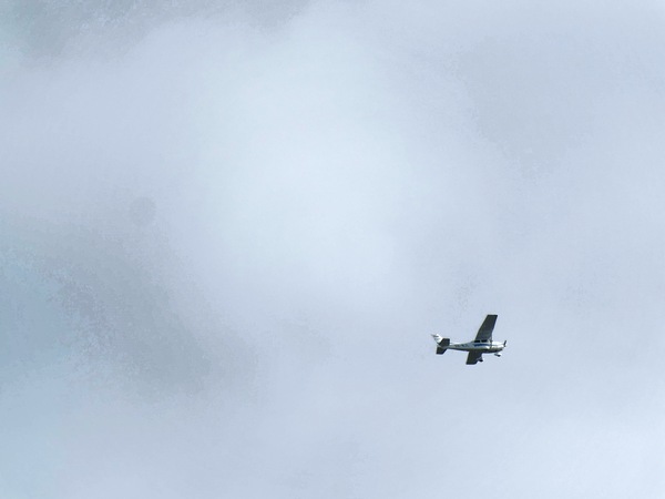 https://lemis.nyc3.digitaloceanspaces.com/grog/Photos/20250703/small/Birding-meeting-364.jpeg