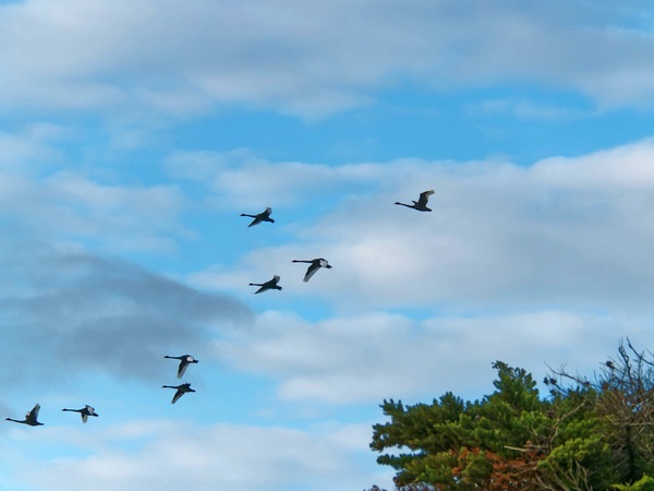 https://lemis.nyc3.digitaloceanspaces.com/grog/Photos/20250703/small/Birding-meeting-52.jpeg