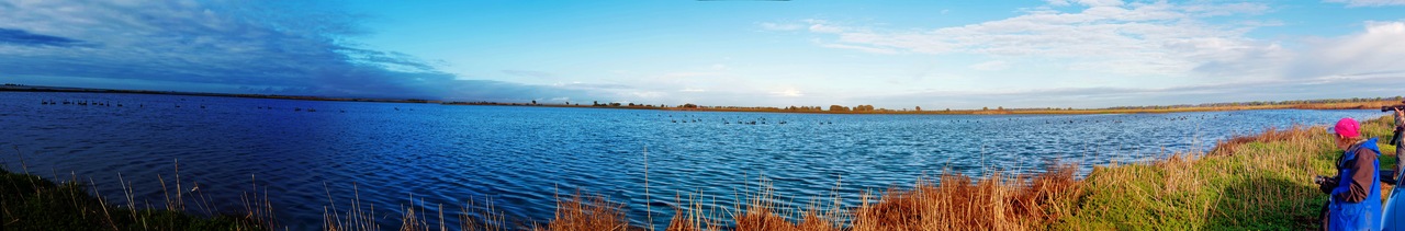 https://lemis.nyc3.digitaloceanspaces.com/grog/Photos/20250703/small/Birding-meeting-pano-2.jpeg