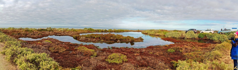 https://lemis.nyc3.digitaloceanspaces.com/grog/Photos/20250703/small/Birding-meeting-pano-3.jpeg