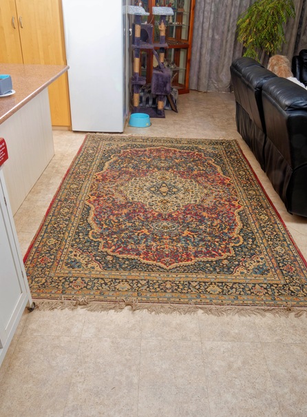 https://lemis.nyc3.digitaloceanspaces.com/grog/Photos/20250706/small/New-carpet-1.jpeg