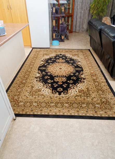 https://lemis.nyc3.digitaloceanspaces.com/grog/Photos/20250706/small/New-carpet-4.jpeg