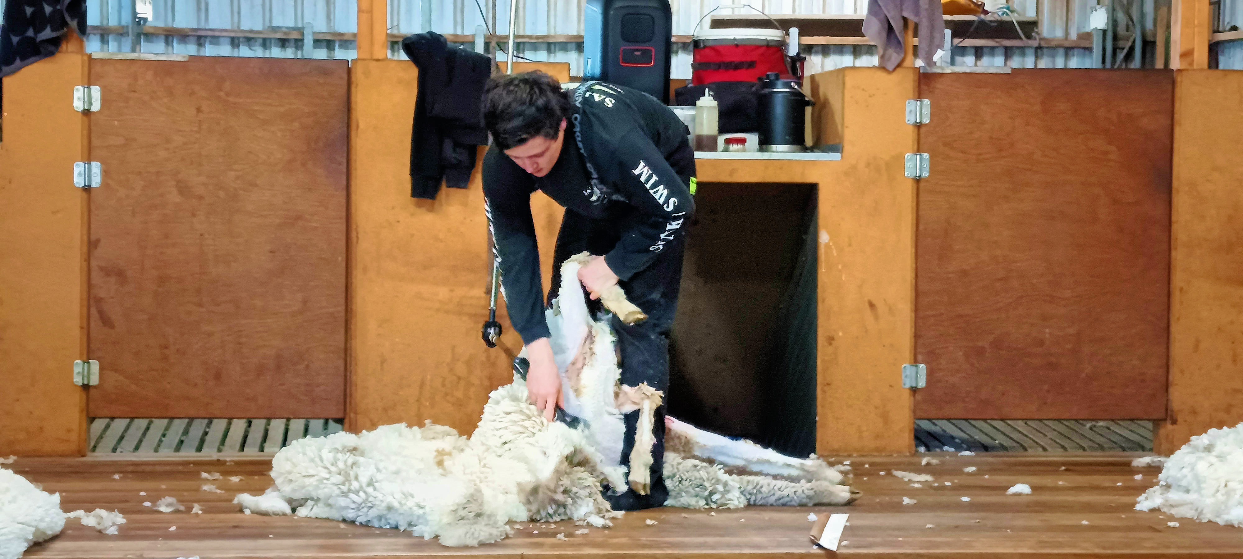 https://lemis.nyc3.digitaloceanspaces.com/grog/Photos/20250724/big/Shearing-in-Dereel-20.jpeg