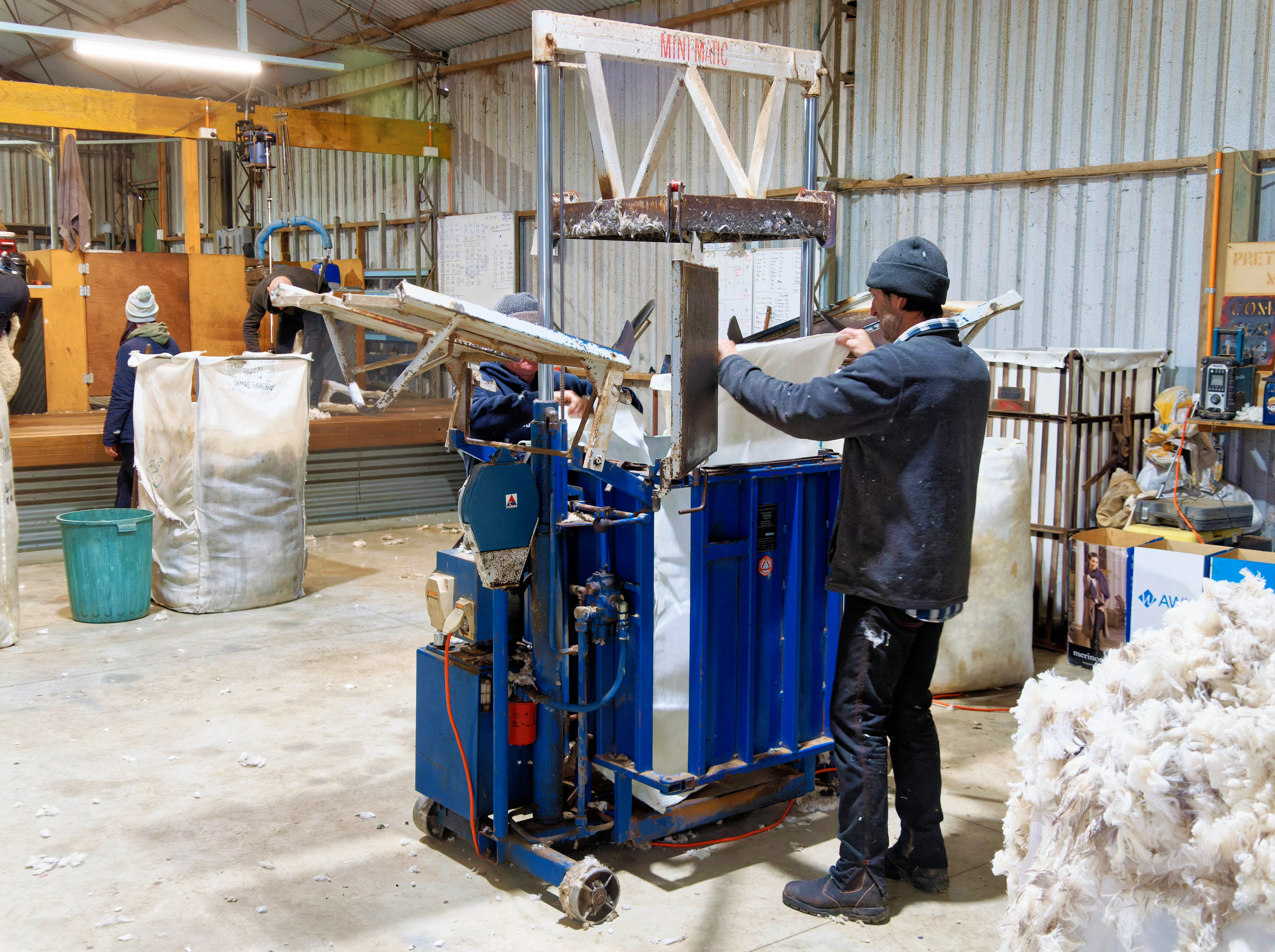 https://lemis.nyc3.digitaloceanspaces.com/grog/Photos/20250725/big/Shearing-in-Dereel-9.jpeg