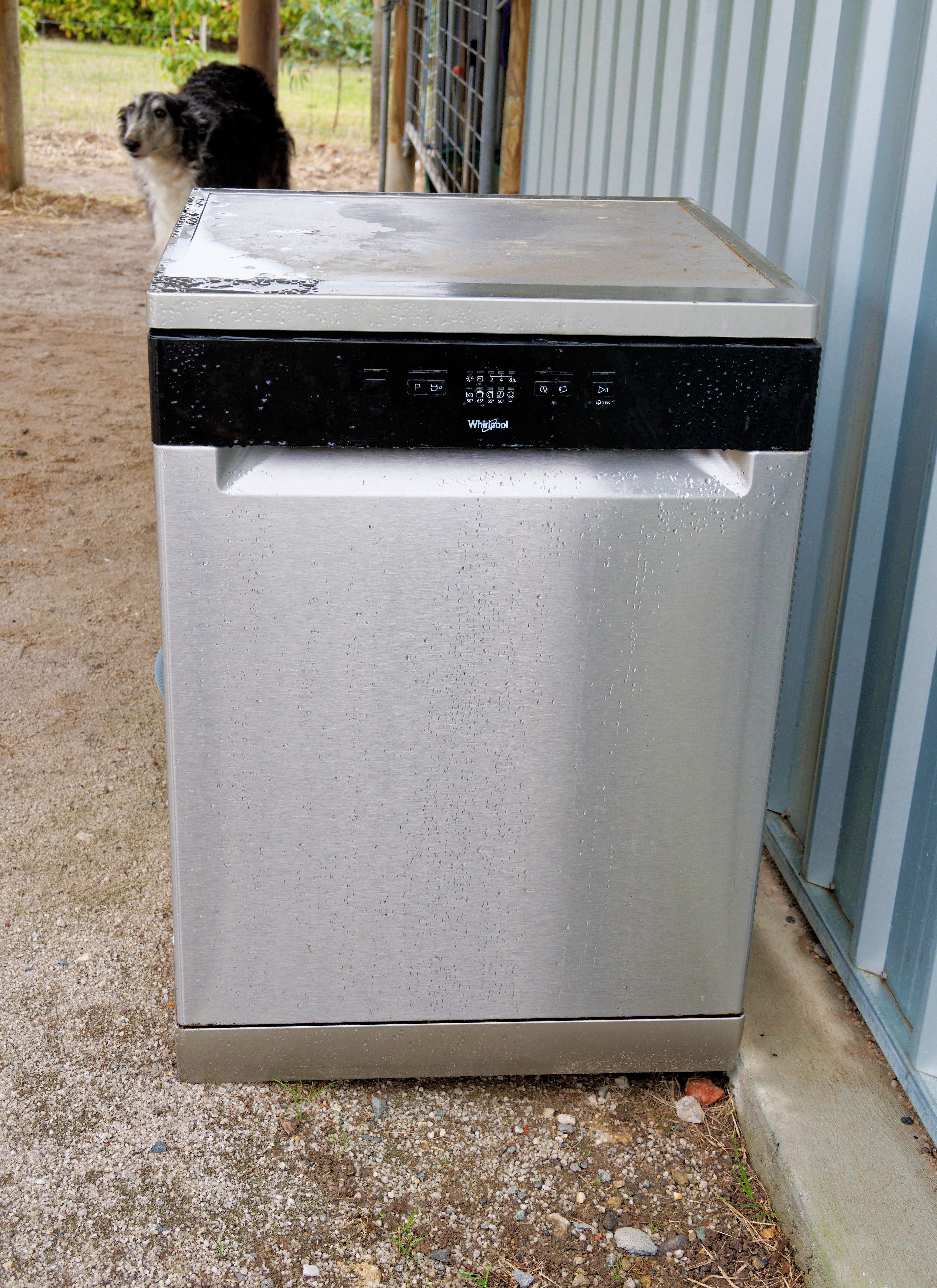 https://lemis.nyc3.digitaloceanspaces.com/grog/Photos/20250726/big/Dishwasher-1.jpeg