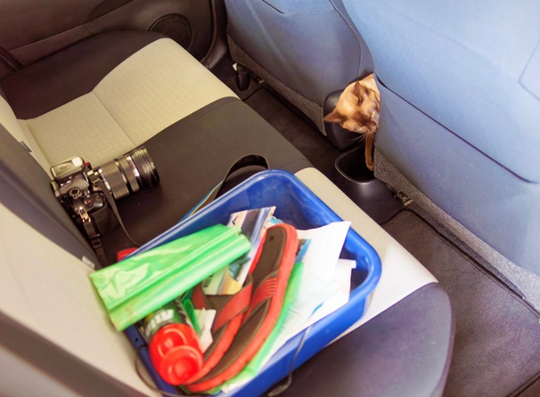 https://lemis.nyc3.digitaloceanspaces.com/grog/Photos/20250730/small/Bruno-in-new-car-4.jpeg