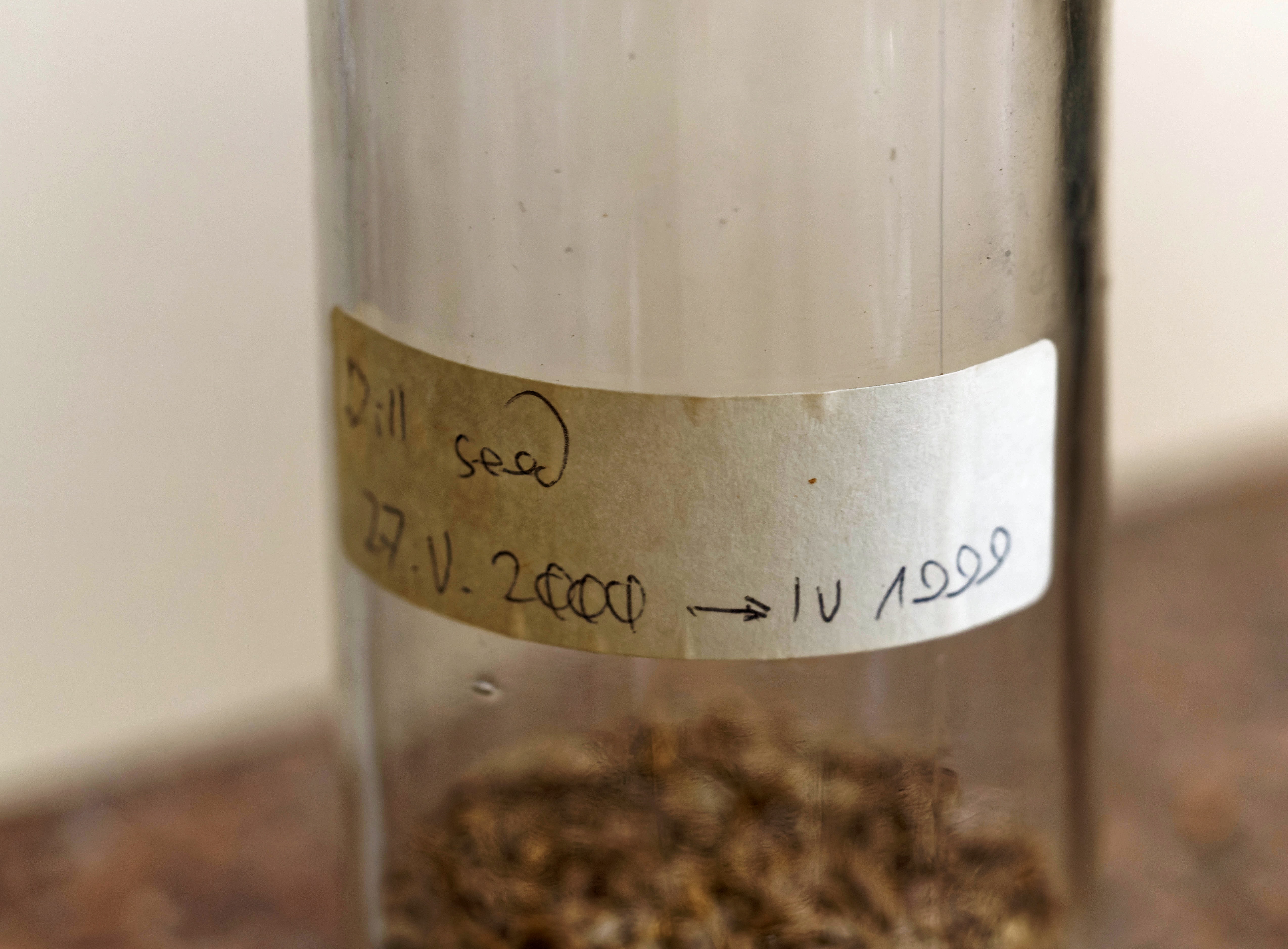 https://lemis.nyc3.digitaloceanspaces.com/grog/Photos/20250804/big/Spice-jars-3.jpeg