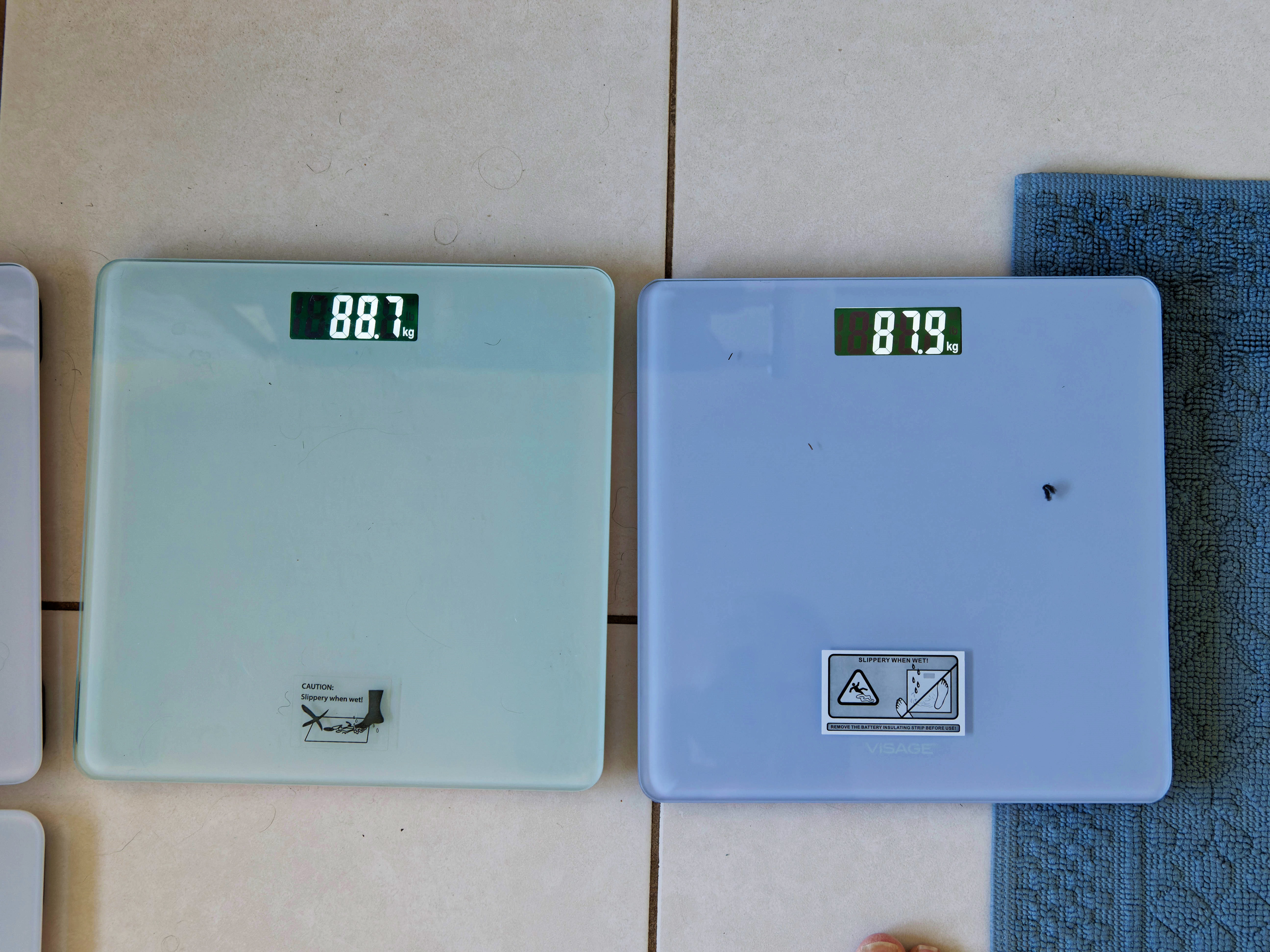 https://lemis.nyc3.digitaloceanspaces.com/grog/Photos/20250805/big/Scales-1.jpeg