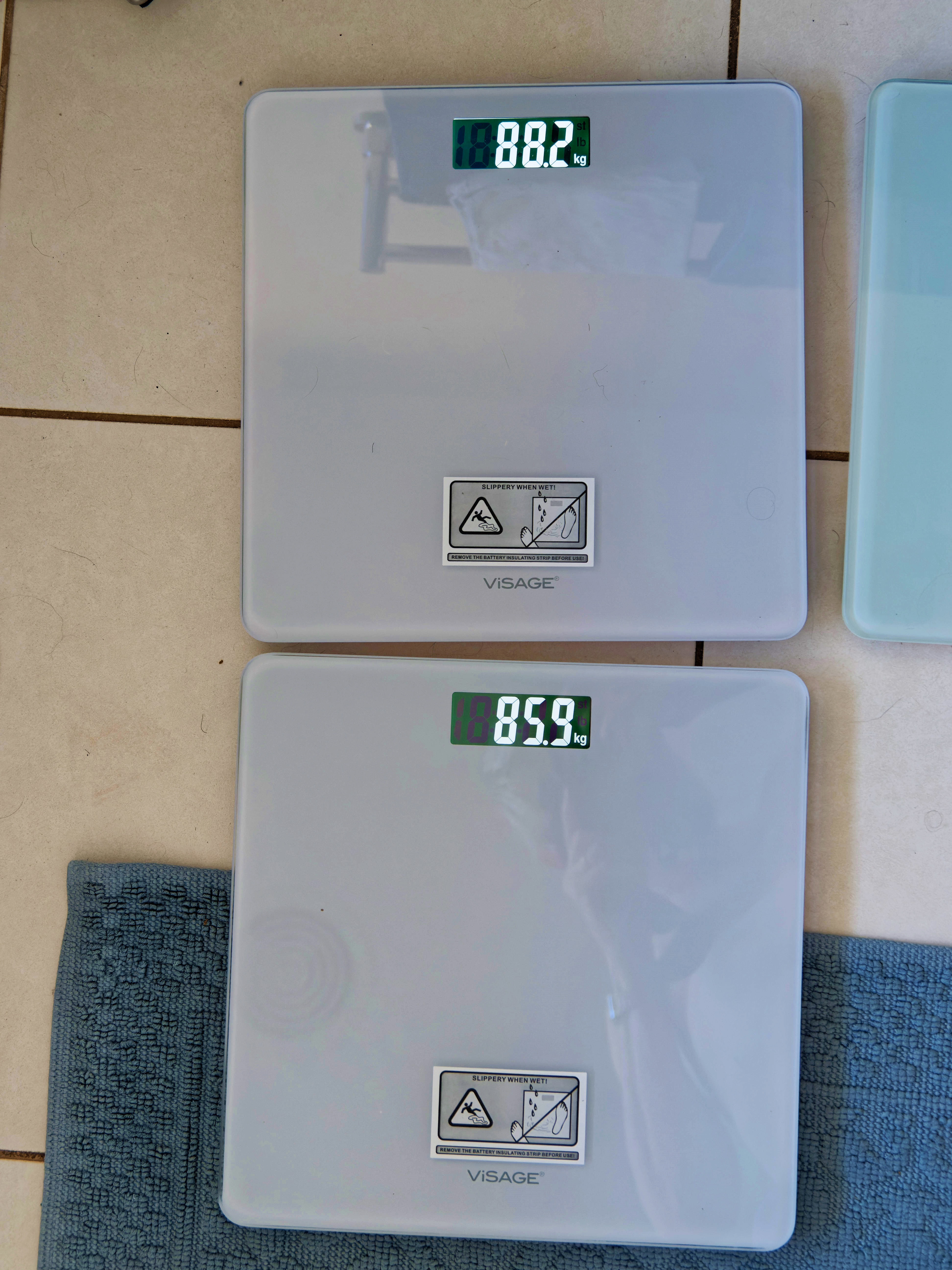 https://lemis.nyc3.digitaloceanspaces.com/grog/Photos/20250805/big/Scales-3.jpeg
