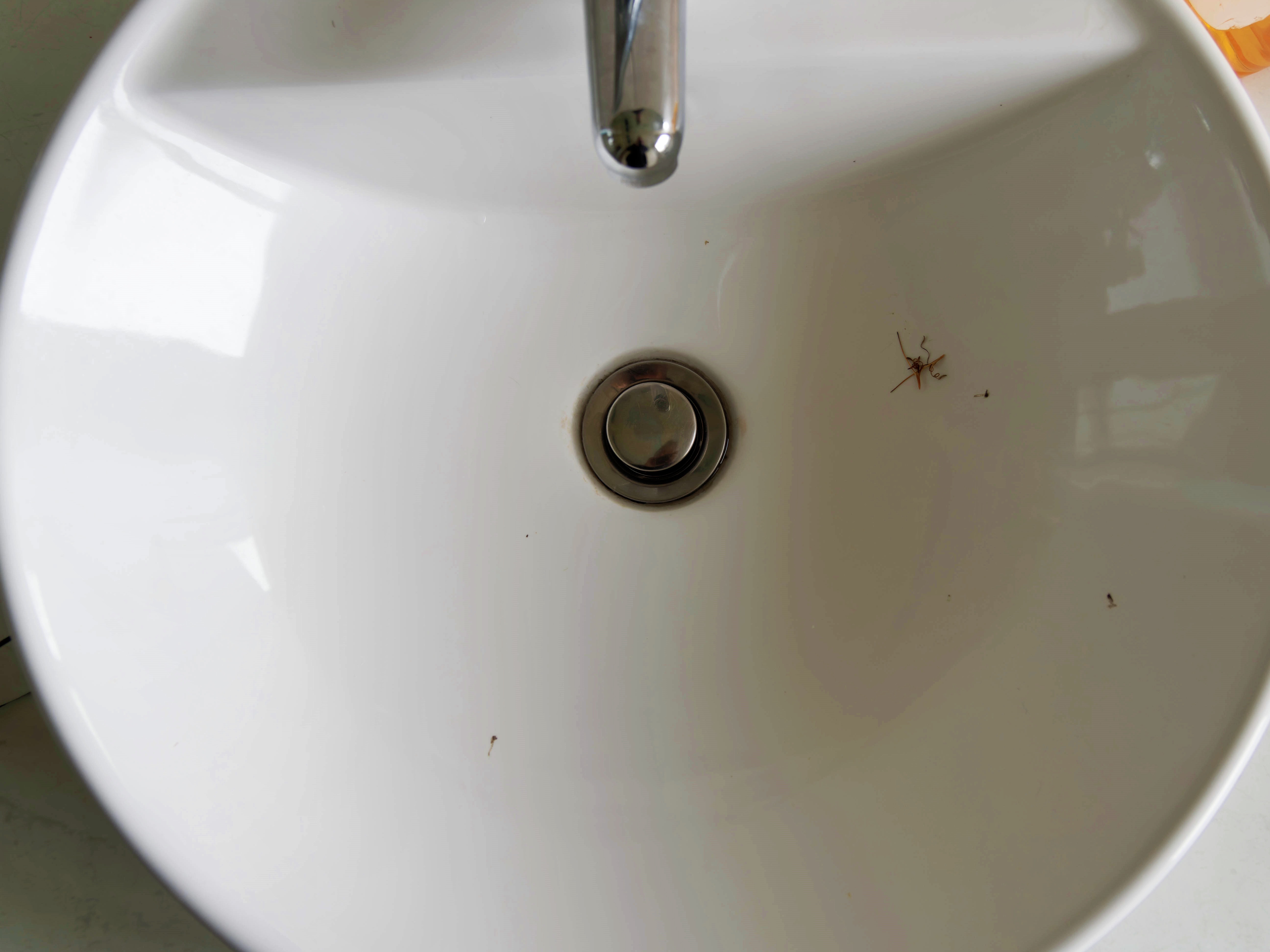 https://lemis.nyc3.digitaloceanspaces.com/grog/Photos/20250807/big/Object-in-washbasin-1.jpeg