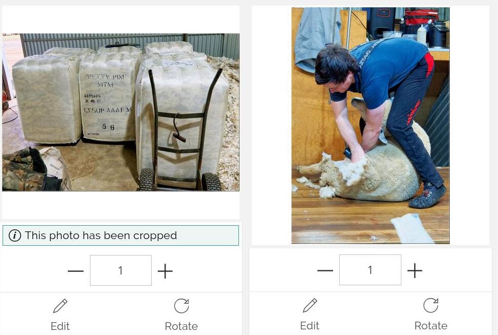 https://lemis.nyc3.digitaloceanspaces.com/grog/Photos/20250811/big/Hardly-Normal-3-detail.jpeg