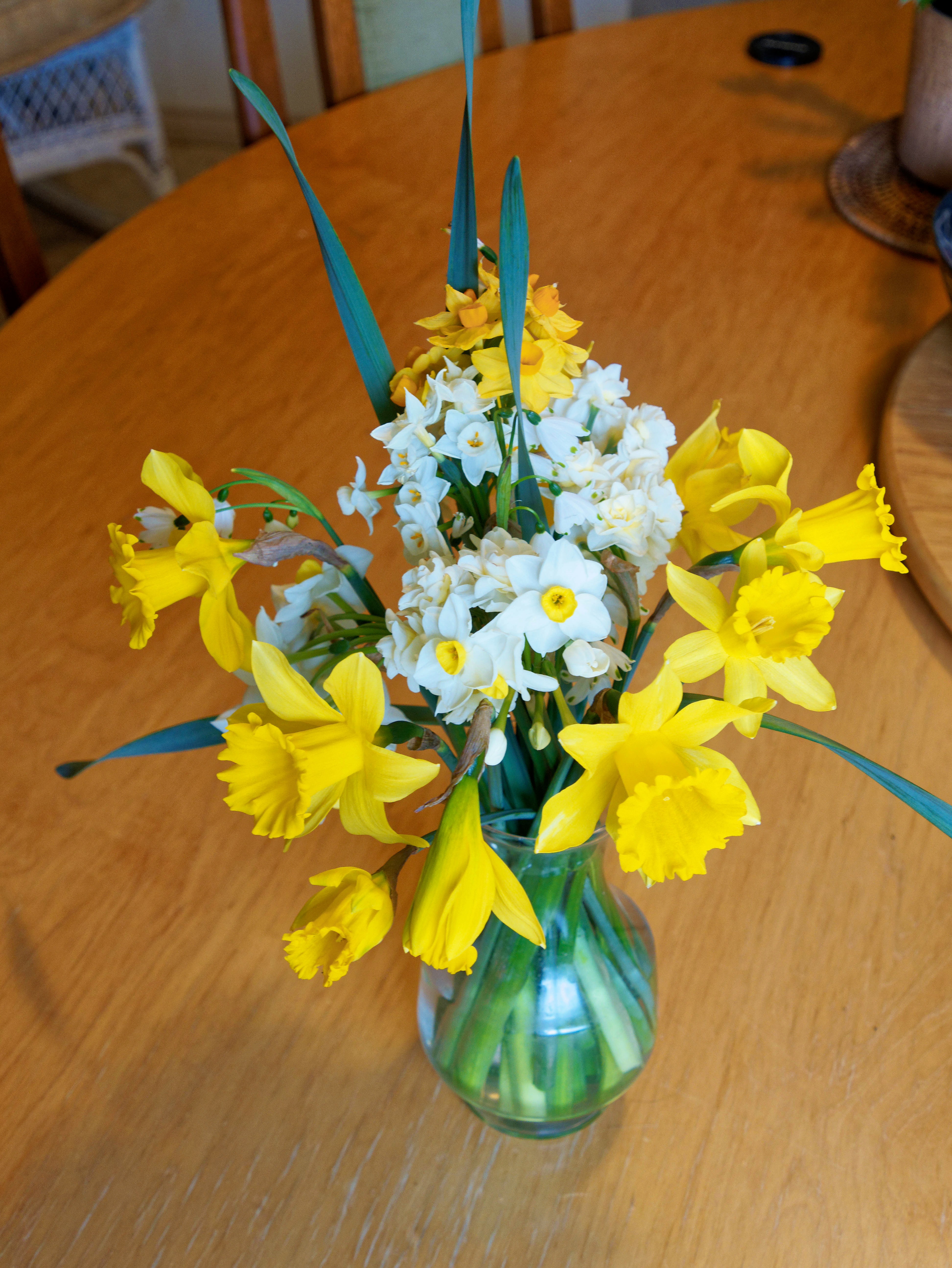 https://lemis.nyc3.digitaloceanspaces.com/grog/Photos/20250815/big/Spring-bulbs.jpeg