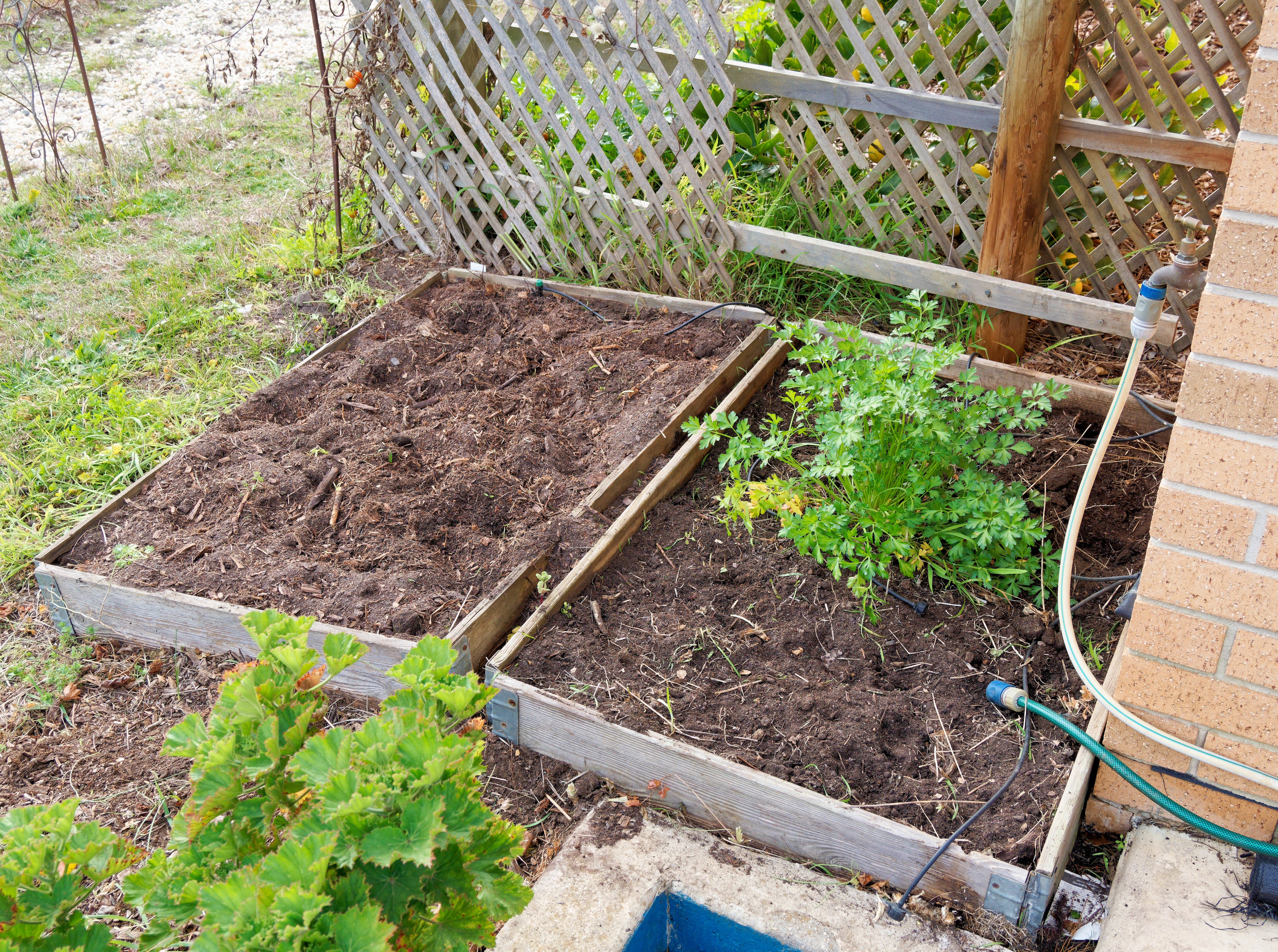 This should be Herb-bed.jpeg.  Is it missing?