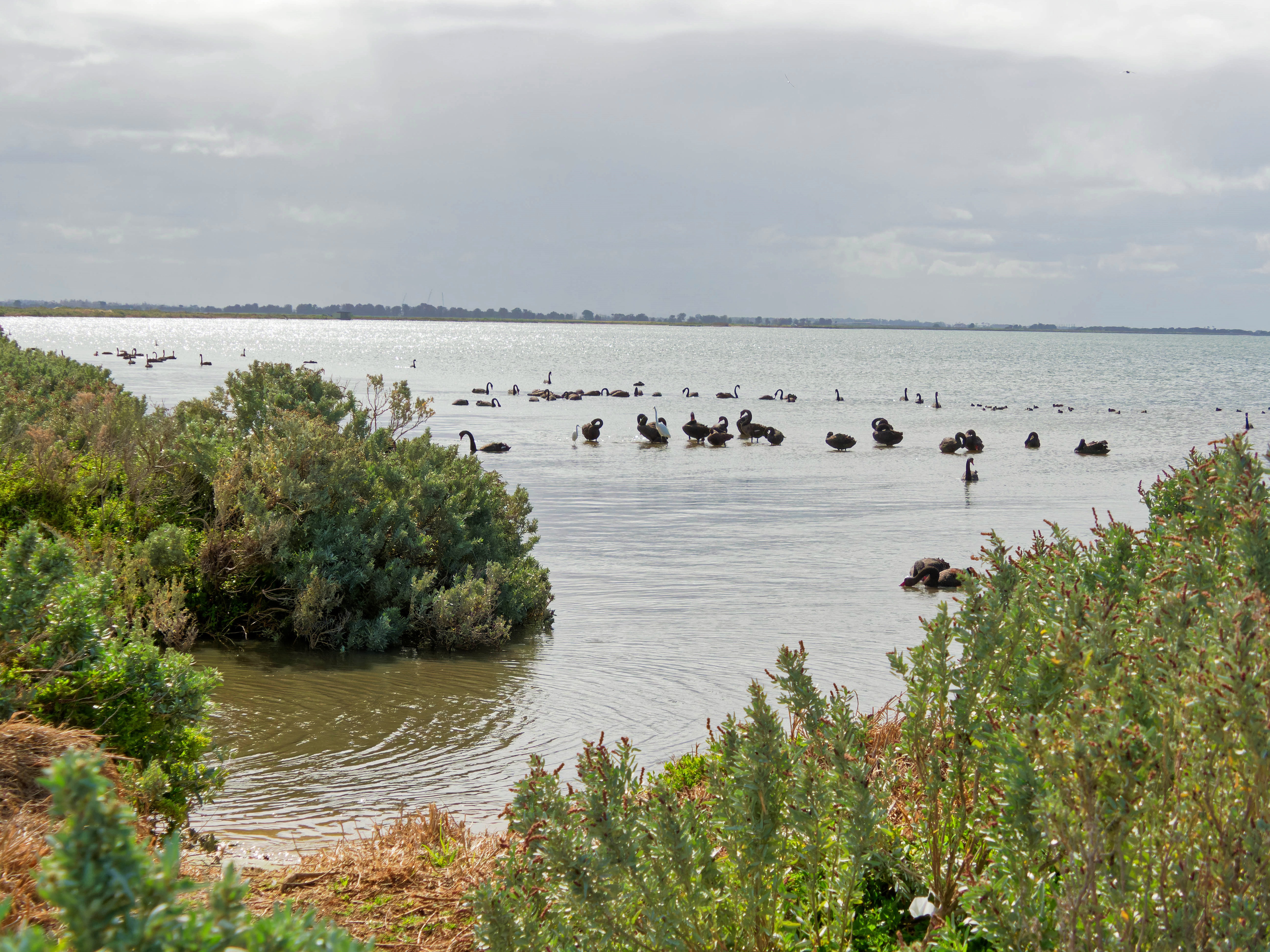 https://lemis.nyc3.digitaloceanspaces.com/grog/Photos/20250917/big/Birding-150.jpeg