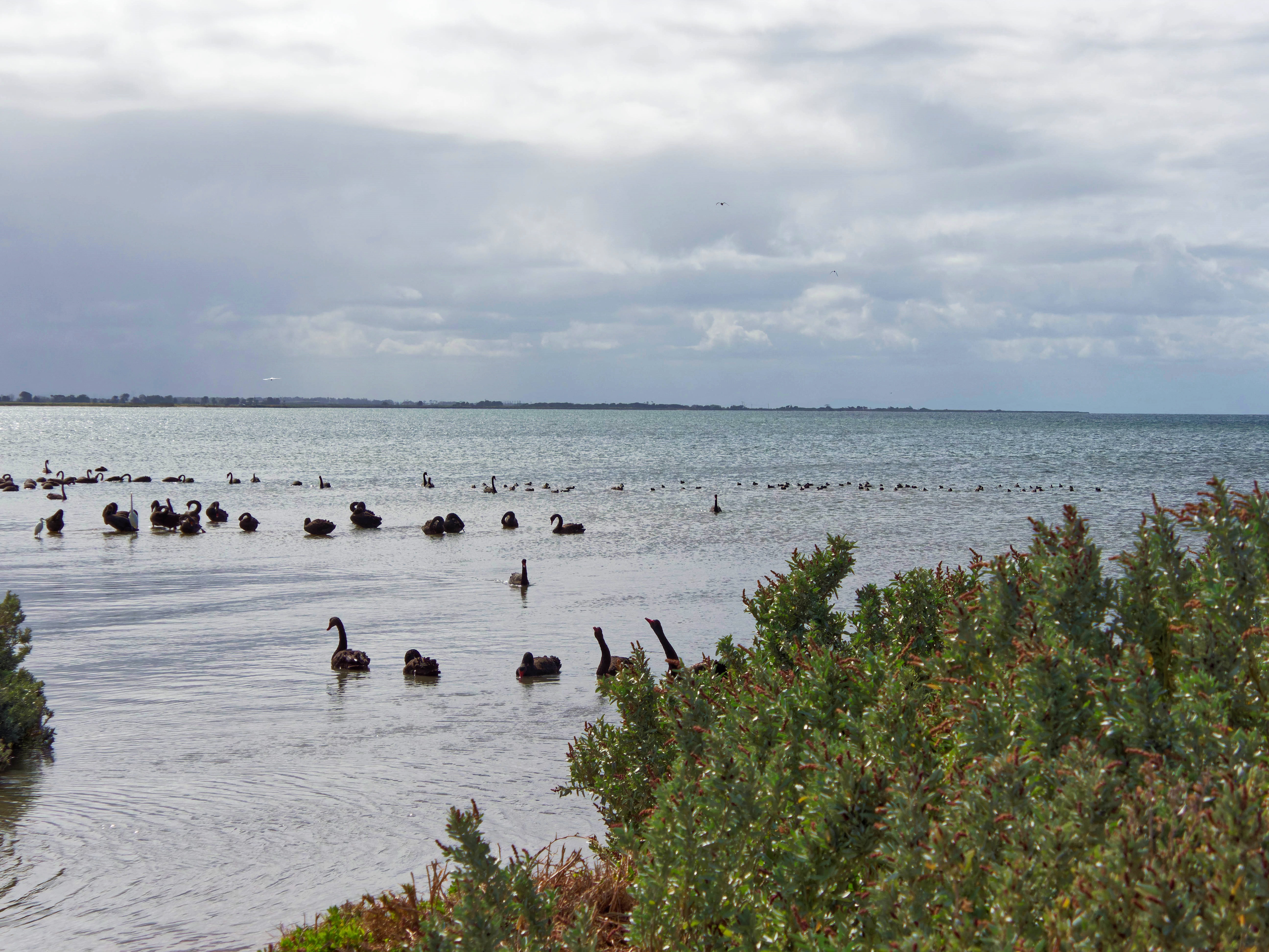 https://lemis.nyc3.digitaloceanspaces.com/grog/Photos/20250917/big/Birding-151.jpeg