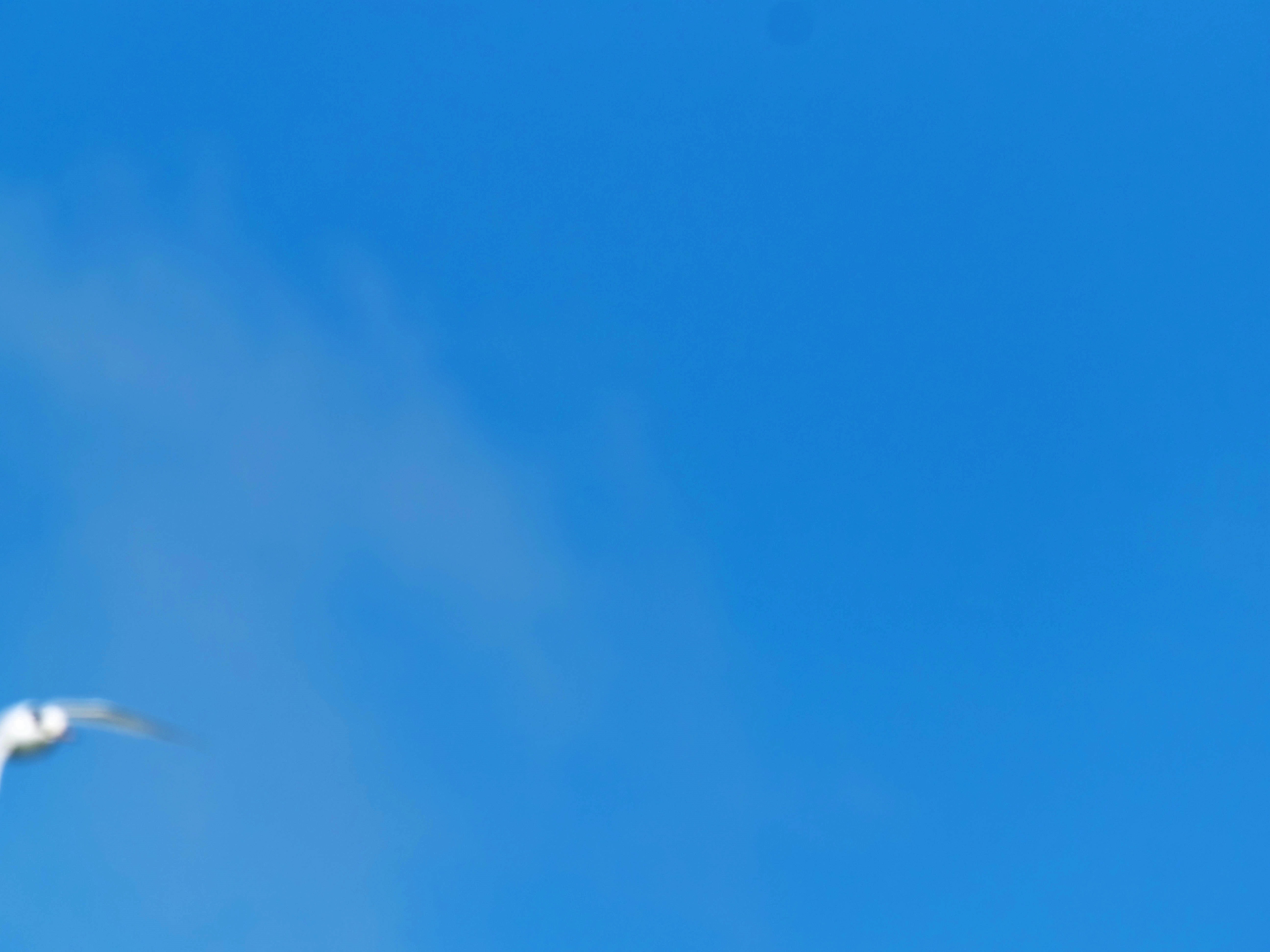 https://lemis.nyc3.digitaloceanspaces.com/grog/Photos/20250917/big/Birding-177.jpeg